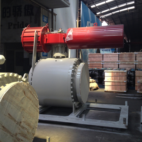 XIAMEN QISHINE IMP.&EXP. CO., LTD. — hình ảnh từ trangvangvietnam.com